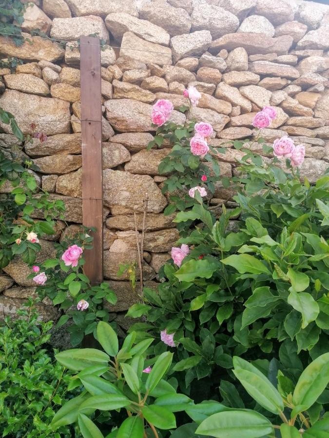 Rosas Da Granja - Casa De Campo 외부 사진