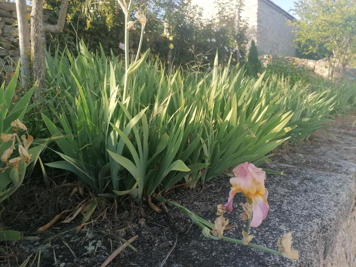 Rosas Da Granja - Casa De Campo 외부 사진