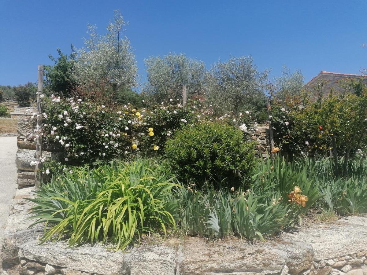 Rosas Da Granja - Casa De Campo 외부 사진