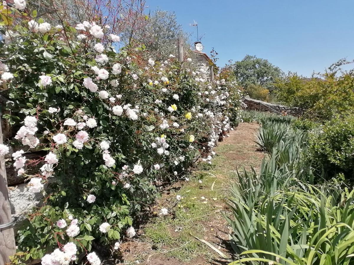 Rosas Da Granja - Casa De Campo 외부 사진